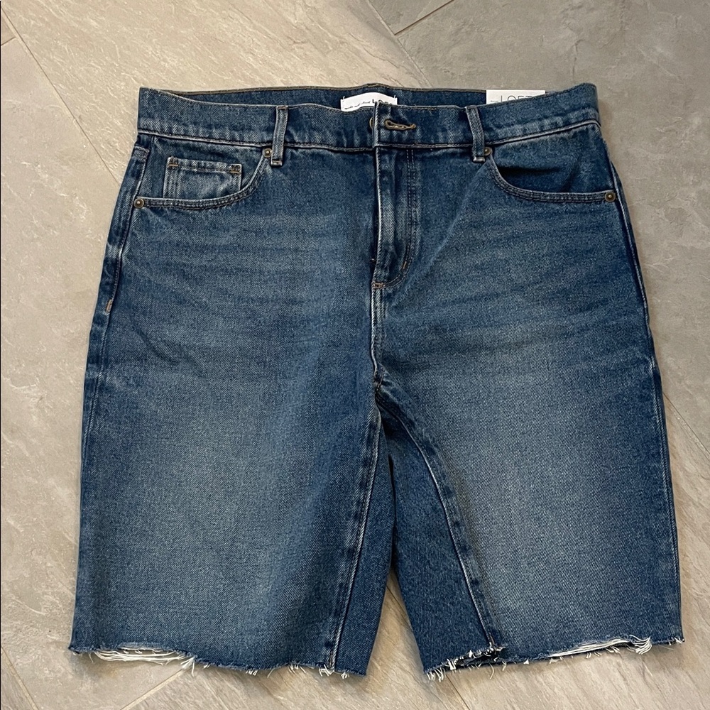 LOFT Women's Denim Blue Jean Shorts